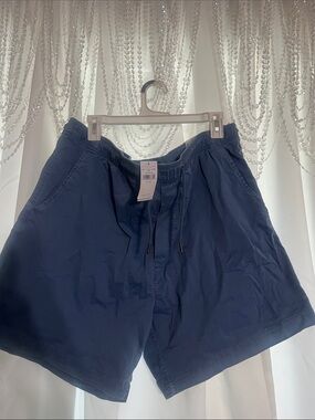 American Eagle Outfitters Blue Elastic Waist Shorts